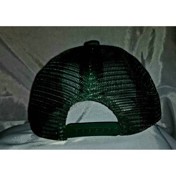 Mallards in‎ Green White on Gray Front Hat Cap w Green Mesh/Bill Snapback EUC - Picture 4 of 6